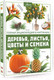 Миниатюра изображения товара Энциклопедия АСТ Деревья, листья, цветы и семена (Спектор А.А.)
