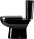 Миниатюра изображения товара Унитаз напольный Wanfald Norden (черный)