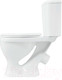 Миниатюра изображения товара Унитаз напольный Sanita Luxe Формат WC.CC/Format/1-P/WHT.G/S1 (с сиденьем)
