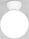 Миниатюра изображения товара Потолочный светильник Евросвет 30197/1 (белый)