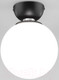 Миниатюра изображения товара Потолочный светильник Евросвет 30197/1 (черный)