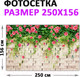 Миниатюра изображения товара Фотофасад Arthata Розы / FotoSetka-250-76 (250x156)