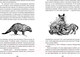 Миниатюра изображения товара Художественная книга Азбука Путь кенгуренка. Поймайте мне колобуса (Даррелл Дж.)