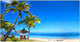 Миниатюра изображения товара Фотофасад Arthata Пляж, пальмы, море / FotoSetka-300-112 (300x156)
