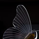 Миниатюра изображения товара Потолочный светильник Arte Lamp Darcy A2187SP-2GO