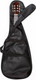 Миниатюра изображения товара Чехол для гитары Flight FBG-6055