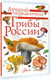 Миниатюра изображения товара Энциклопедия АСТ Грибы России. Определитель (Кривошеев Станислав)