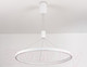 Миниатюра изображения товара Потолочный светильник Ambrella Comfort / FL5855