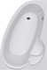 Миниатюра изображения товара Ванна акриловая Alba Spa Katrina 170x110 R (с ножками и экраном)