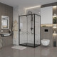 Миниатюра изображения товара Душевая стенка Niagara NG-A80B 80x190