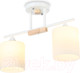 Миниатюра изображения товара Потолочный светильник Ambrella Traditional / TR9541