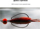 Миниатюра изображения товара Набор крючков рыболовных Gamakatsu Worm Ewg Hooks Sil Stopper Black №4 / 185014-004 (5шт)