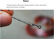 Миниатюра изображения товара Набор крючков рыболовных Gamakatsu Worm Ewg Hooks Sil Stopper Black №4 / 185014-004 (5шт)