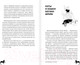 Миниатюра изображения товара Книга АСТ Литература и котики (Латунова О.В.)