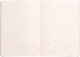 Миниатюра изображения товара Записная книжка Rhodia Rhodiarama / 117451C (80л, серебряный)