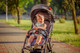 Миниатюра изображения товара Детская прогулочная коляска Xo-kid Sitis (Brown)