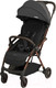 Миниатюра изображения товара Детская прогулочная коляска Leclerc Influencer / LEC20011 (Black Brown)