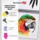 Миниатюра изображения товара Скетчбук Brauberg Art Magic / 115067 (80л)