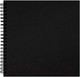 Миниатюра изображения товара Скетчбук Brauberg Art Classic / 115081 (черный)