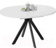 Миниатюра изображения товара Обеденный стол ТриЯ Стокгольм тип 1 (черный муар/стекло глянцевое белое)