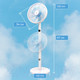 Миниатюра изображения товара Вентилятор Evolution AirLeaf AL-812R