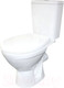 Миниатюра изображения товара Унитаз напольный Rosa Соло (белый)