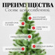 Миниатюра изображения товара Сосна искусственная Erbis Zylk 120
