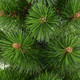 Миниатюра изображения товара Сосна искусственная Erbis Zylk 180