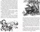 Миниатюра изображения товара Книга Эксмо Сын полка. Рассказы о войне (Катаев В.П.)