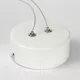 Миниатюра изображения товара Потолочный светильник Lussole Aberdeen LSP-7085