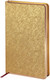 Миниатюра изображения товара Ежедневник Bruno Visconti Bridge / 3-528.09 (золотистый)