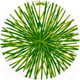 Миниатюра изображения товара Блюдо Taitu Life In Green 12-13-6