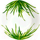 Миниатюра изображения товара Салатник Taitu Life In Green 12-13-50