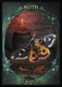 Миниатюра изображения товара Гадальные карты Solarus Witches Familiars Oracle Cards / SOL01