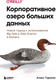 Миниатюра изображения товара Книга Бомбора Корпоративное озеро больших данных (Горелик А.)