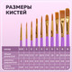 Миниатюра изображения товара Набор кистей Brauberg Синтетика / 201029 (10шт)