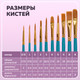 Миниатюра изображения товара Набор кистей Brauberg Синтетика / 201030 (10шт)