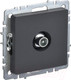 Миниатюра изображения товара Розетка IEK Brite BR-A10-P-K53 (графит)