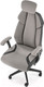 Миниатюра изображения товара Кресло геймерское Halmar Chrono (серо-черный)
