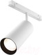 Миниатюра изображения товара Трековый светильник Maytoni Focus LED TR032-2-20W4K-S-W