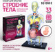 Миниатюра изображения товара Научная игра Эврики Строение тела. Беременная женщина / 9405614