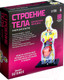 Миниатюра изображения товара Научная игра Эврики Строение тела. Беременная женщина / 9405614