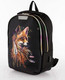 Миниатюра изображения товара Школьный рюкзак Ecotope Kids Лиса / 057-22003/1-34-CLR (черный)