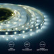 Миниатюра изображения товара Светодиодная лента Apeyron Electrics СТ SMD3528 / 00-02