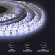 Миниатюра изображения товара Светодиодная лента Apeyron Electrics СТ SMD5050 / 00-10