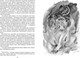 Миниатюра изображения товара Книга Махаон Пещерный лев (Рони-Старший Жозеф)