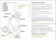 Миниатюра изображения товара Кресло подвесное M-Group Круг / 11050109 (белый ротанг/серая подушка)
