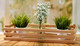 Миниатюра изображения товара Ящик декоративный Polini Kids Home Basket / 0003155-21 (лакированный)
