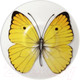 Миниатюра изображения товара Чашка с блюдцем Taitu Freedom Butterfly 1-891-A (желтый)