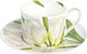 Миниатюра изображения товара Чашка с блюдцем Taitu Freedom Flower 1-82-B (белый)
